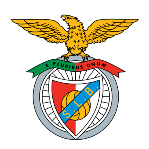 https://img.stelidoma.com/img/football/team/725ee1f8f113e71c752a62503960623c.png